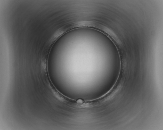 X0000110940841200906191229