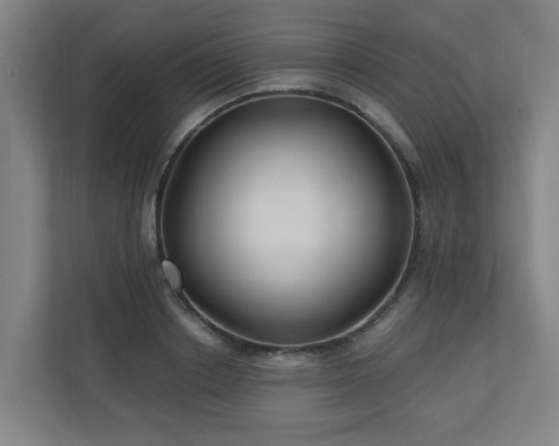 X0000110940842200906191229