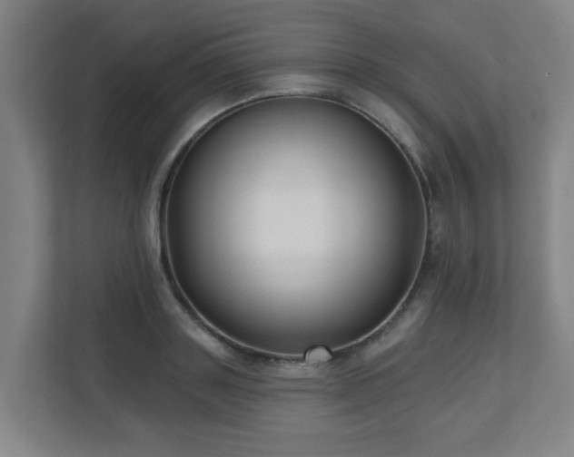 X0000110940843200906191229