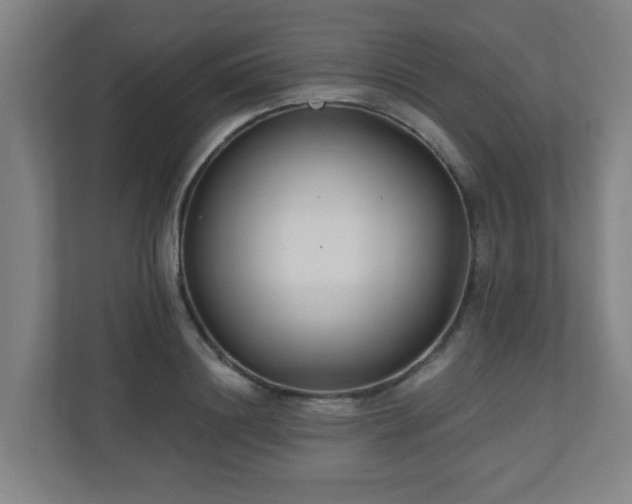 X0000110940844200906191229