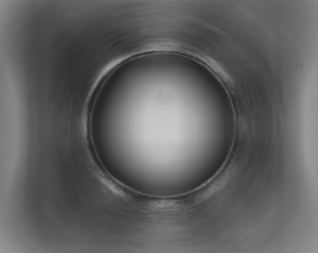 X0000110940846200906191229