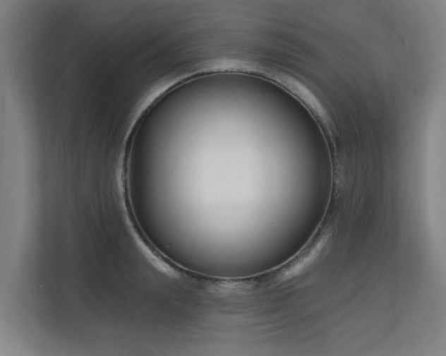 X0000110940847200906191229