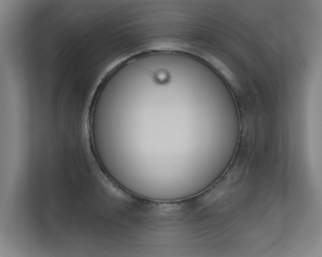 X0000110940848200906191229