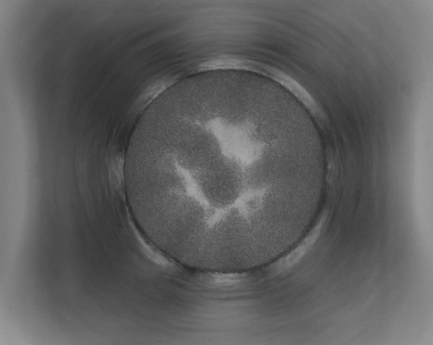 X0000110940849200906191229