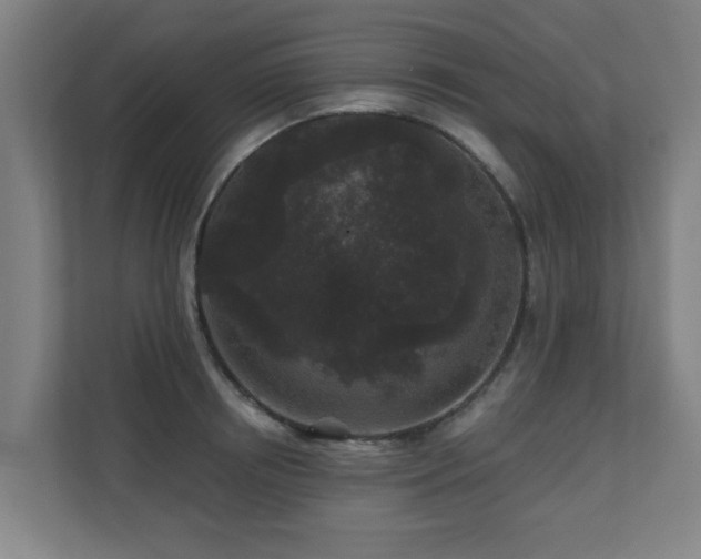 X0000110940850200906191229