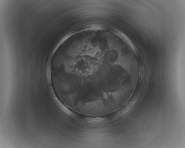 X0000110940851200906191229