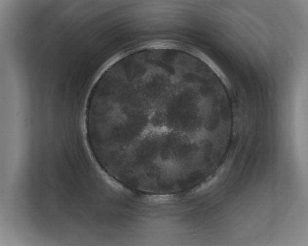 X0000110940853200906191229