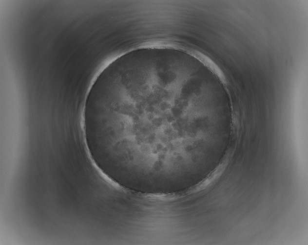 X0000110940855200906191229