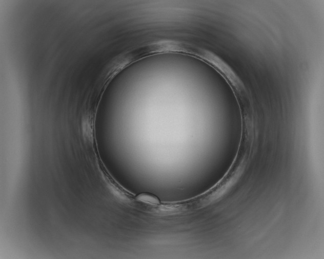 X0000110940857200906191229