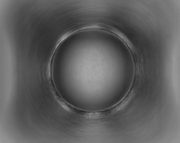 X0000110940858200906191229