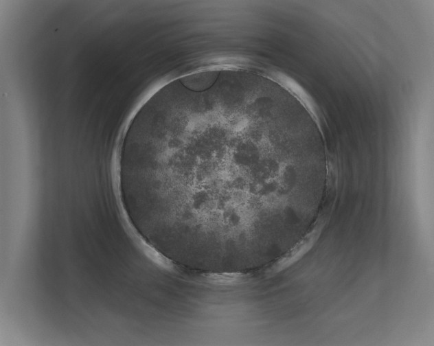 X0000110940859200906191229