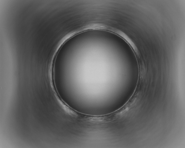 X0000110940861200906191229