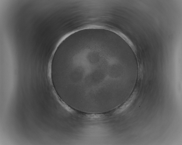 X0000110940862200906191229