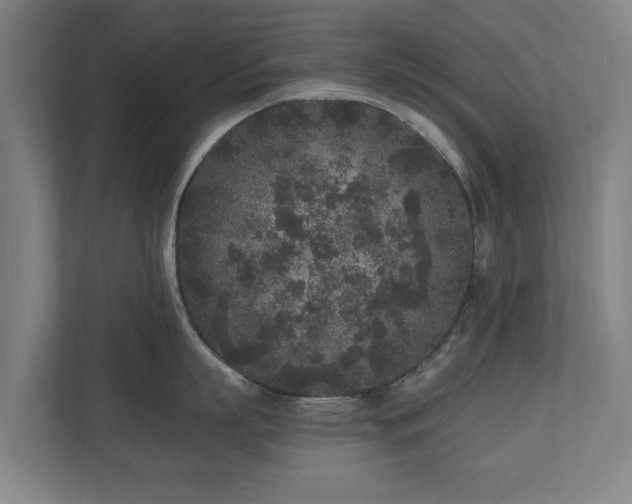 X0000110940863200906191229