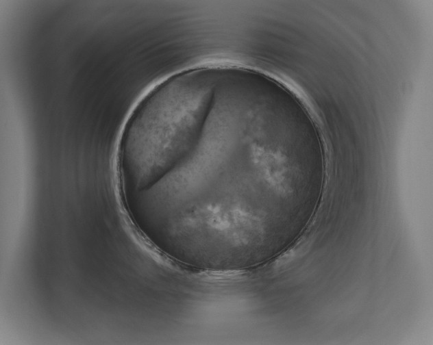 X0000110940864200906191229