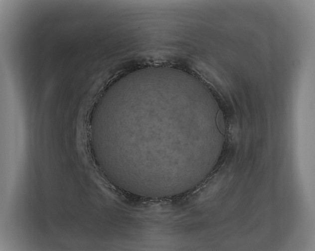 X0000110940865200906191229