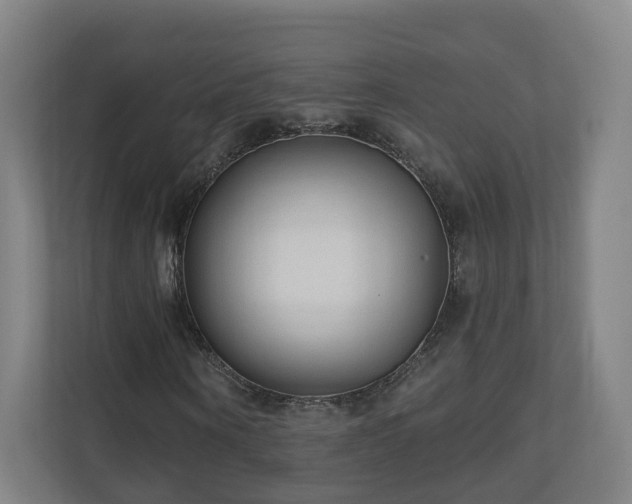 X0000110940866200906191229