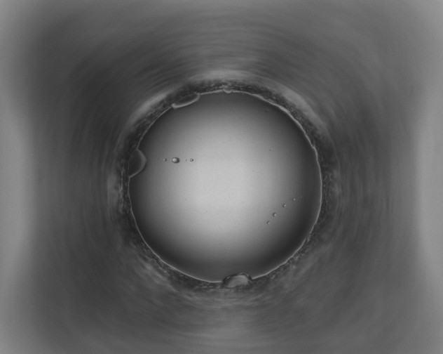 X0000110940872200906191228