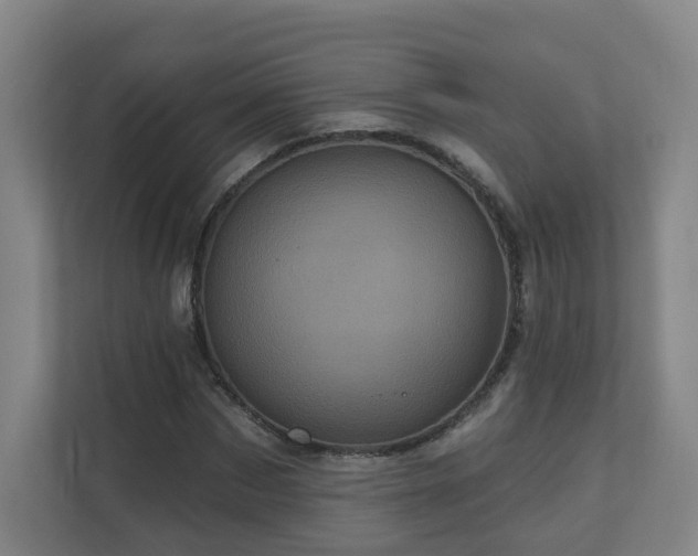 X0000110940873200906191228