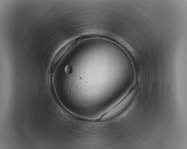 X0000110940877200906191228