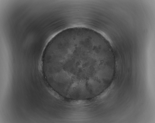 X0000110940879200906191228