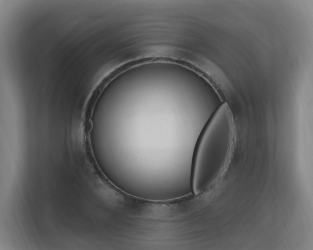 X0000110940880200906191228