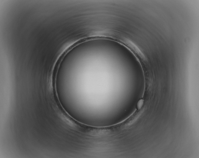 X0000110940884200906191228