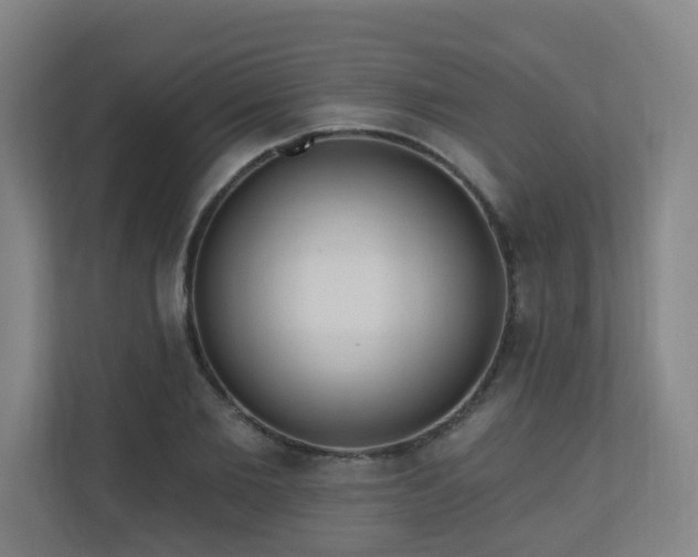 X0000110940885200906191228