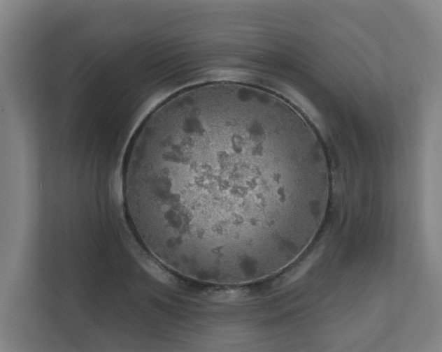 X0000110940891200906191228