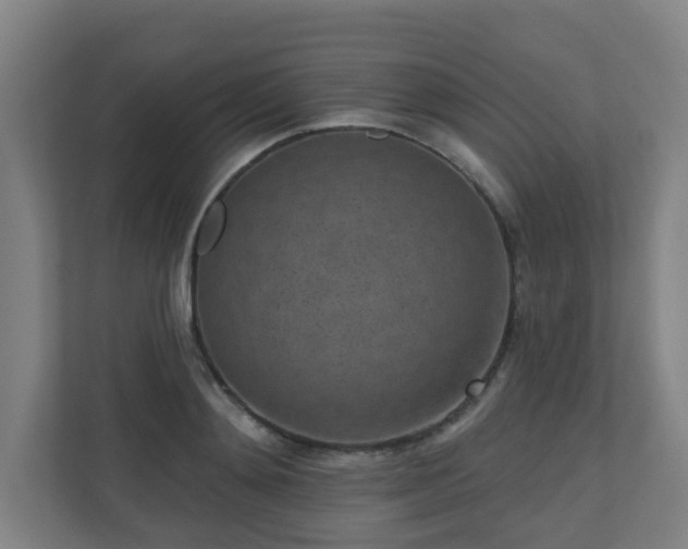 X0000110940892200906191228