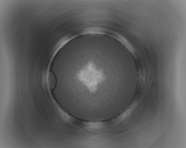 X0000110940893200906191228