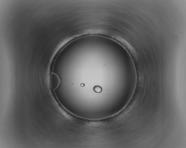 X0000110940894200906191228