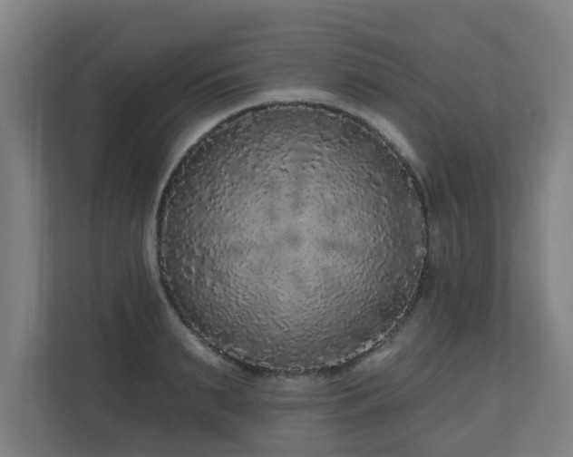 X0000110940895200906191228