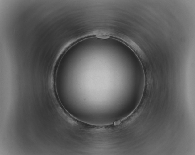 X0000110940896200906191228