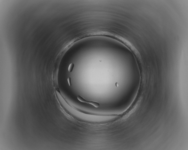 X0000110940897200906191228