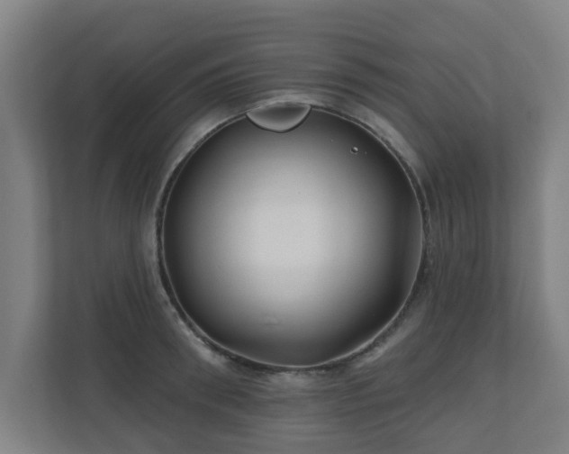 X0000110940898200906191228