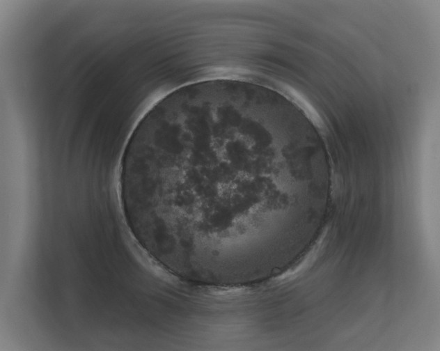 X0000110940899200906191228