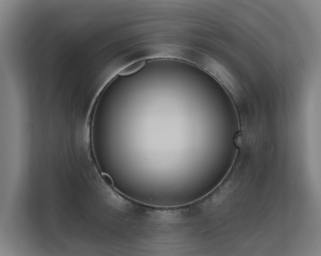 X0000110940900200906191228