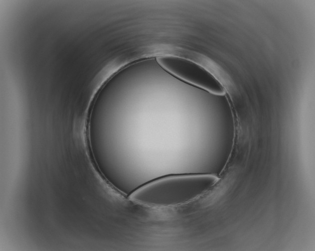 X0000110940901200906191228