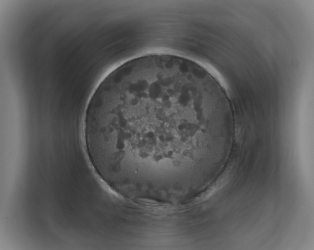 X0000110940903200906191228