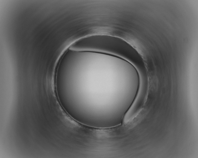 X0000110940904200906191228