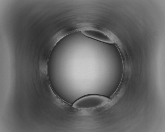 X0000110940905200906191228