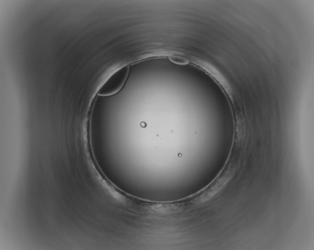 X0000110940906200906191228