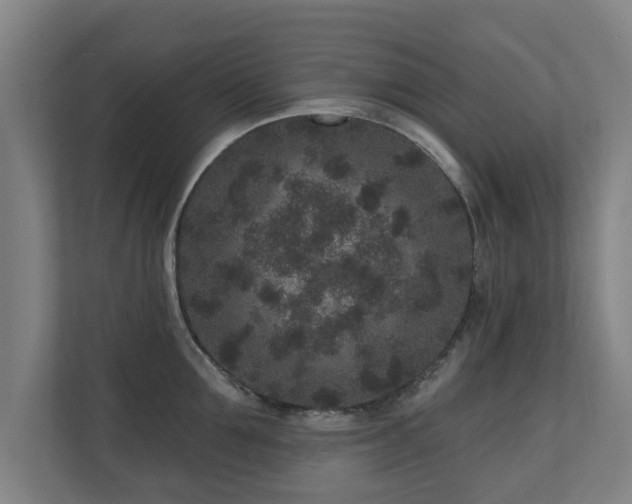 X0000110940907200906191228