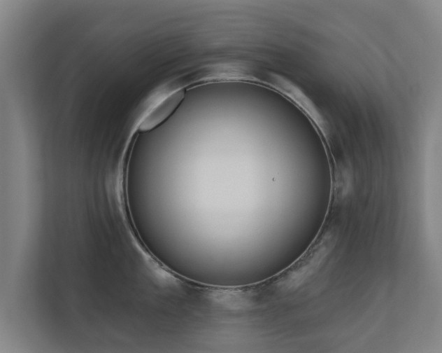 X0000110940909200906191228