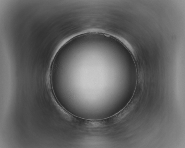 X0000110940911200906191228