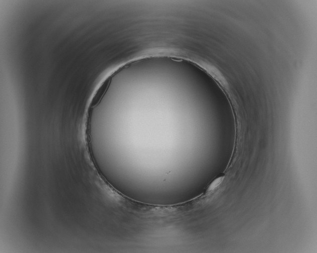 X0000110940912200906191228