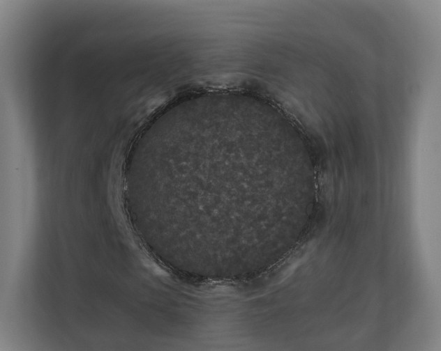 X0000110940913200906191227