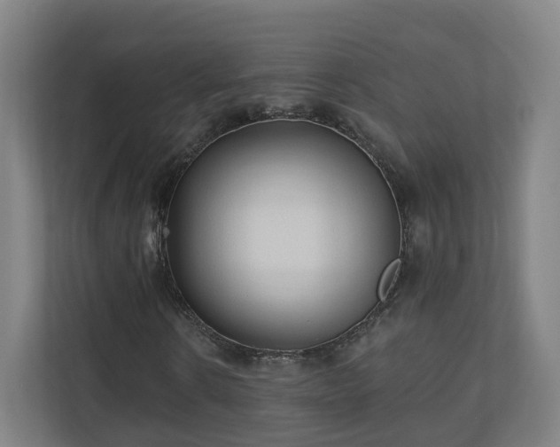 X0000110940914200906191227