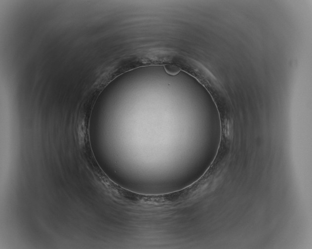 X0000110940915200906191227